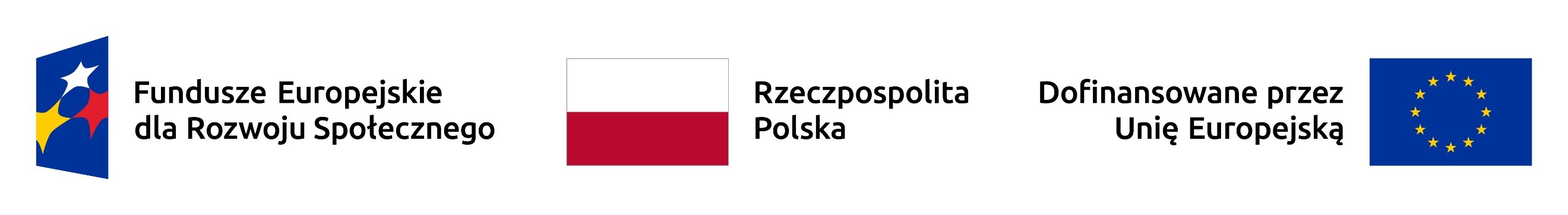 logotyp: Fundusze Europejskie dla rozwoju społecznego, Rzeczpospolita Polska, Dofinansowane przez Unię Europejską